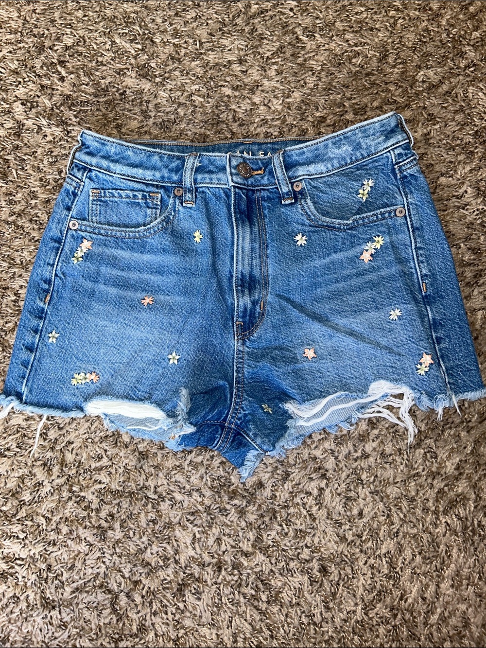 American Eagle Embroidered Floral Denim Cut Off Shorts - Women’s 6